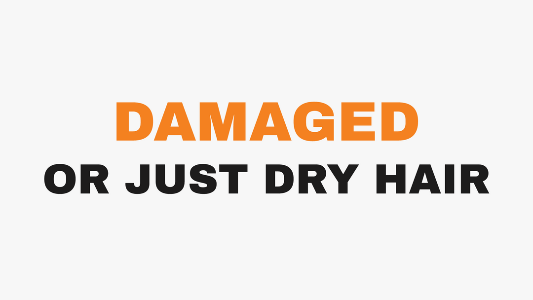 How to Tell If Your Hair Is Damaged or Just Dry (And What Each One Needs)