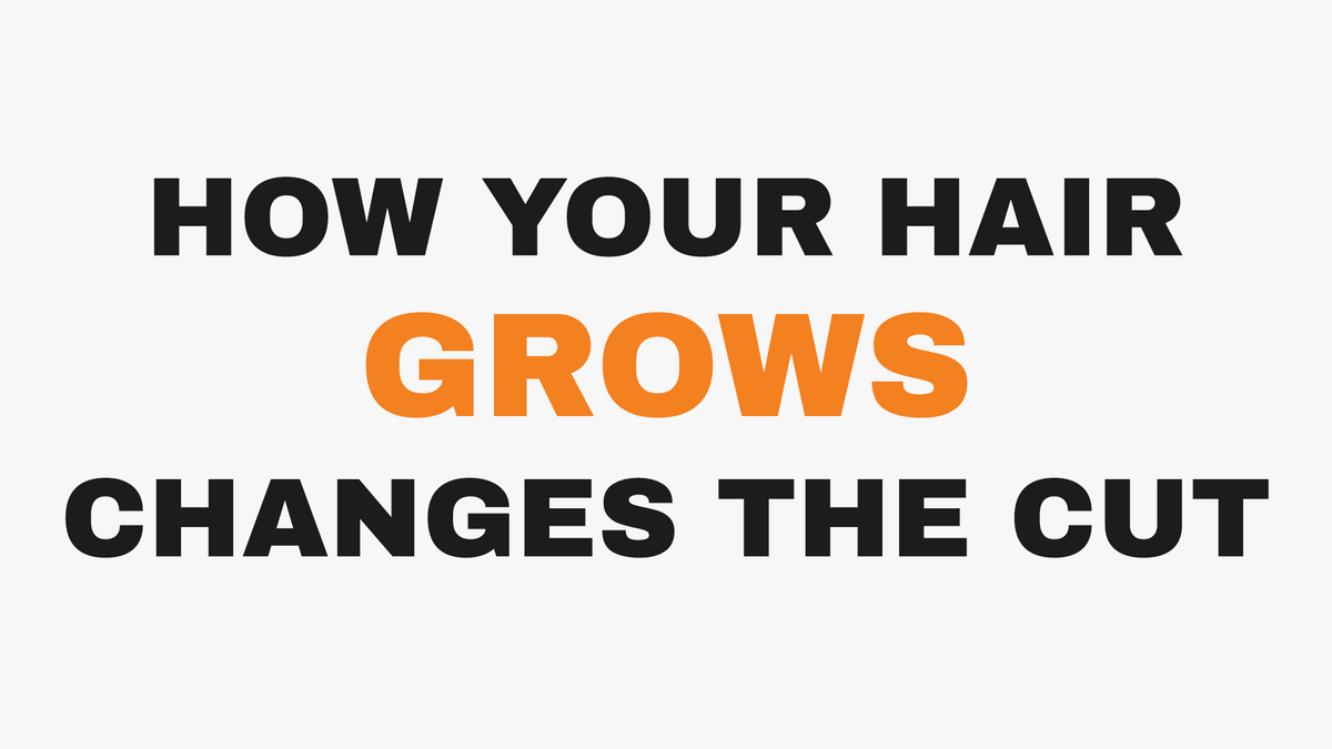 Why a great haircut depends on hair growth, fall, and dryness at 3rd Coast Salon, Chicago IL.